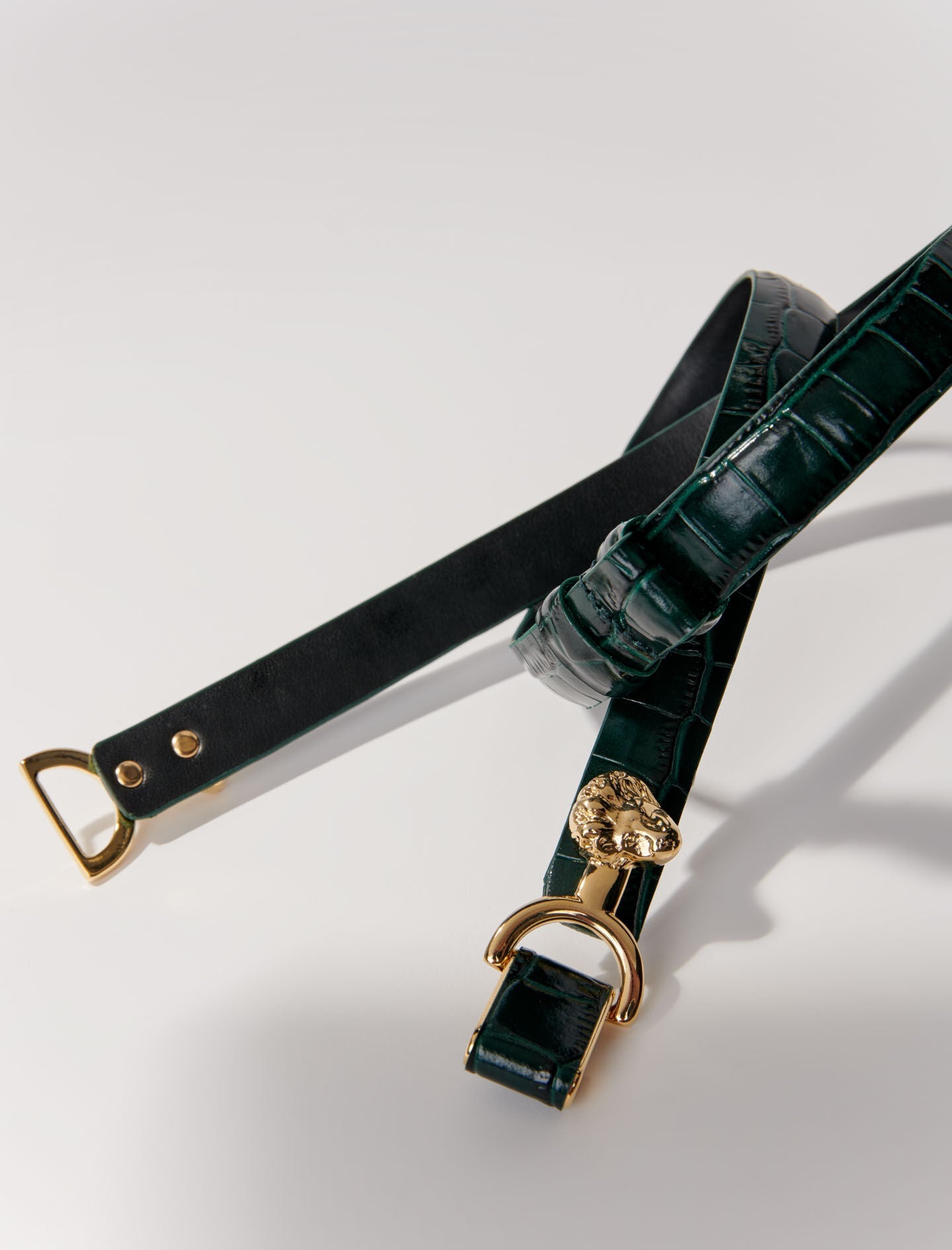 BottleGreen  -lionheadbelt