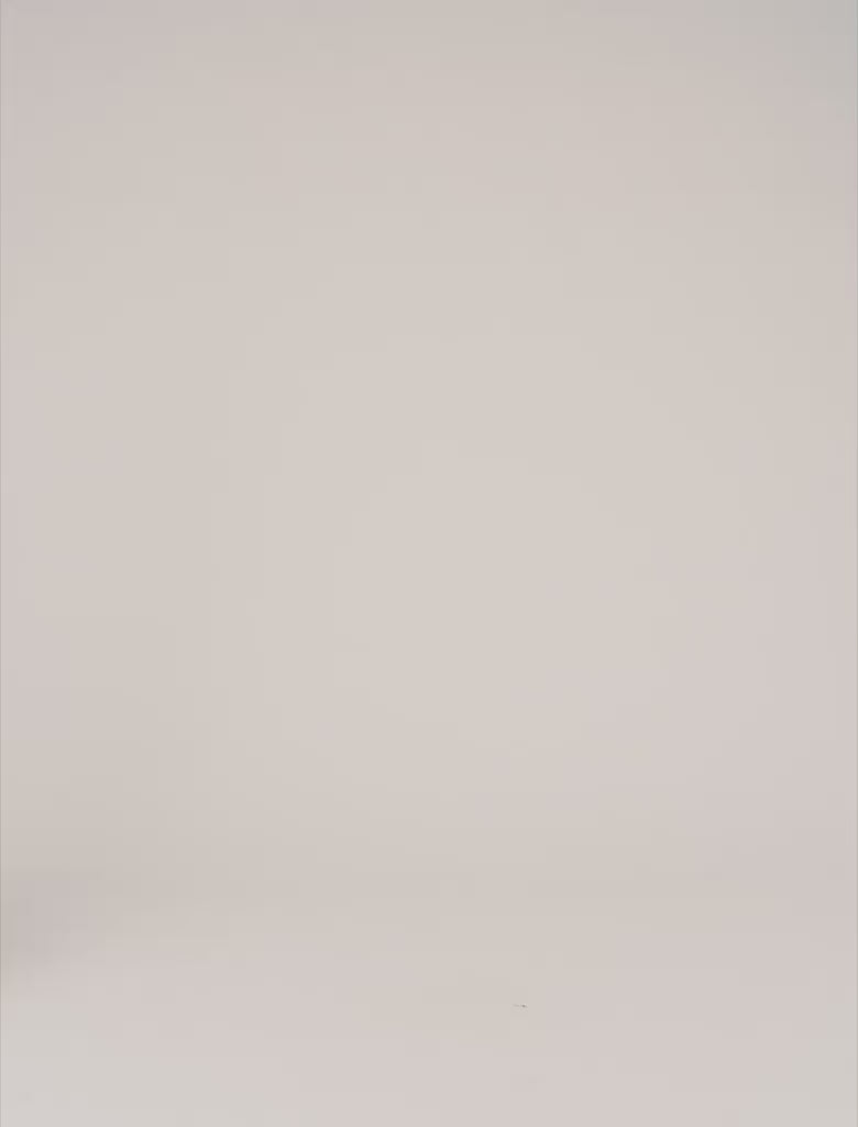 Wide high-waisted jeans