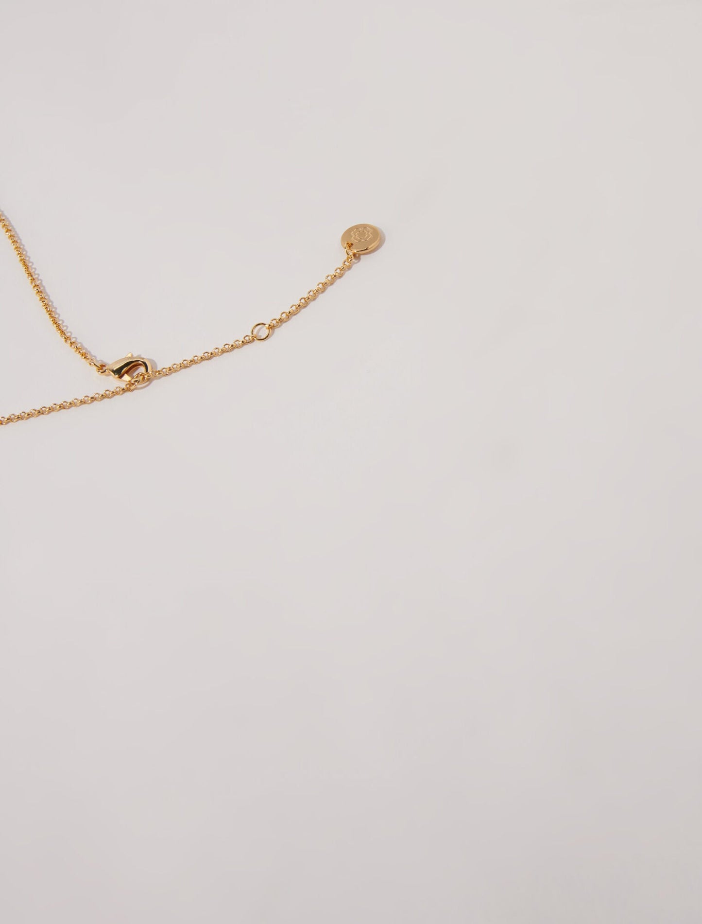 Gold  -Long fortune cookie necklace