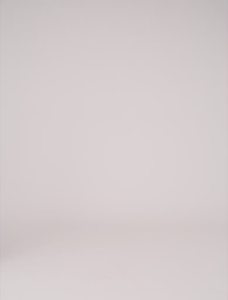 White Embroidered T-shirt