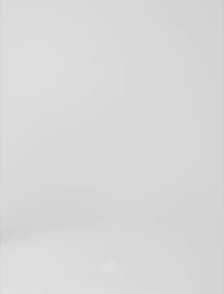 Embroidered linen-silk pencil skirt White